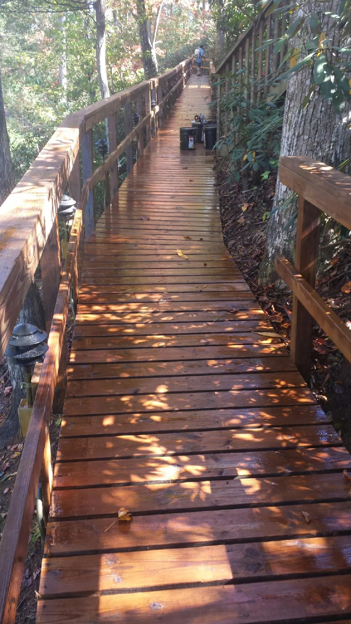 Freshly stained wood walkway winding through the woods in Hagerman